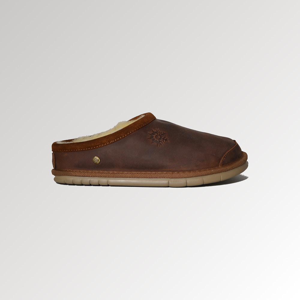 Men's Morro Bay Surf Checker